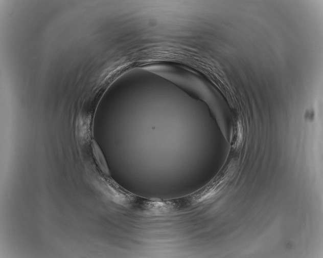 X0000091360239200708101426