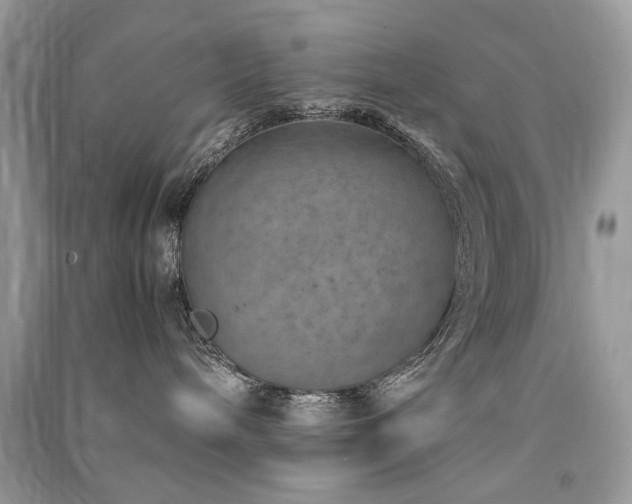 X0000091360240200708101426