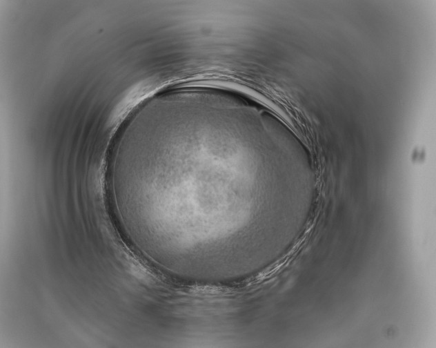 X0000091360242200708101425