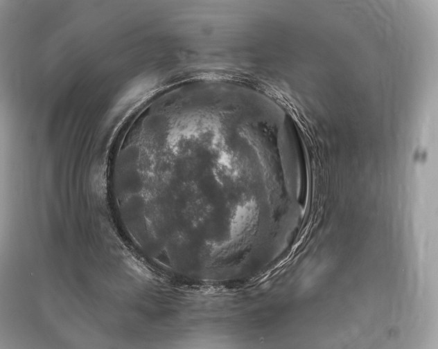 X0000091360243200708101425