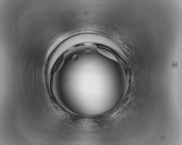 X0000091360244200708101425