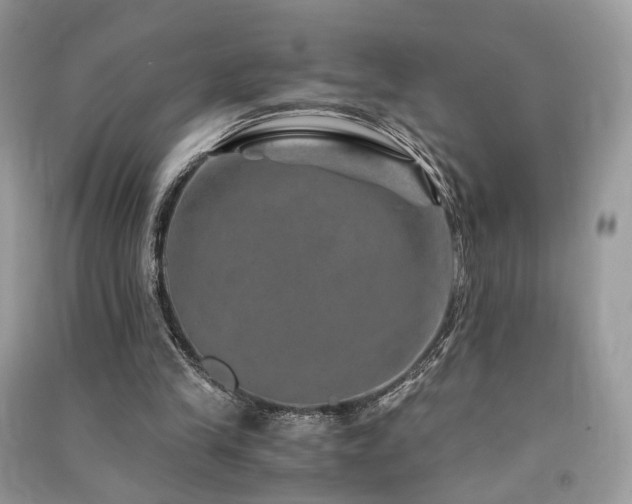 X0000091360245200708101425