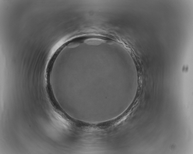 X0000091360246200708101425