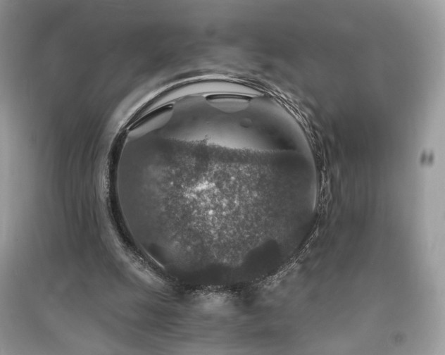 X0000091360247200708101425