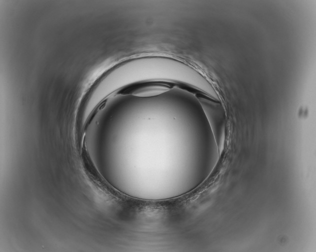 X0000091360248200708101425