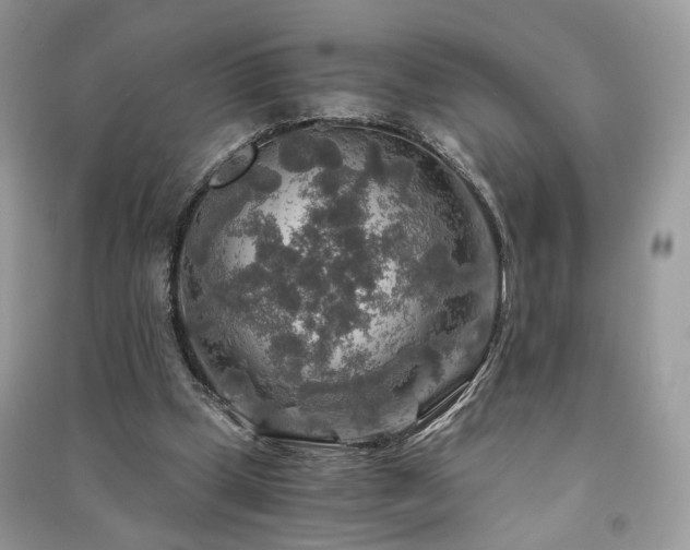 X0000091360249200708101425