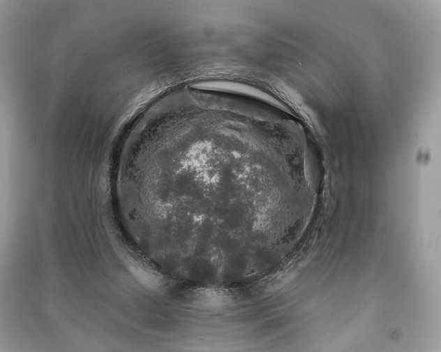 X0000091360250200708101425