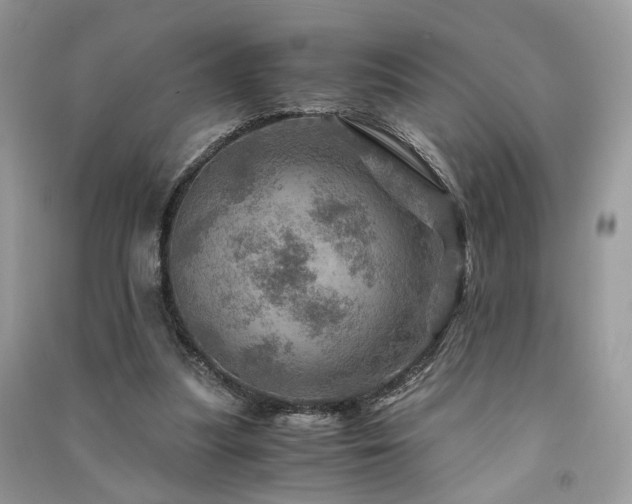 X0000091360251200708101425