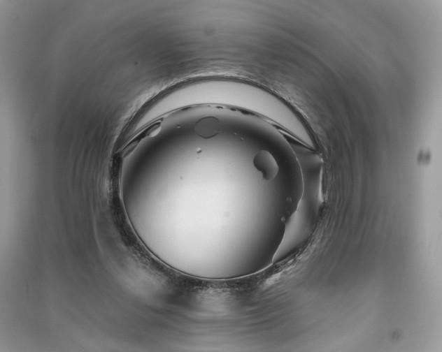 X0000091360252200708101425