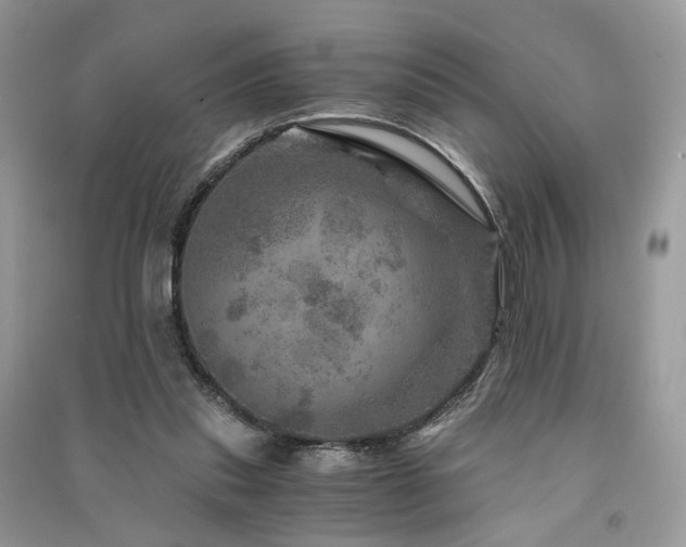 X0000091360253200708101425
