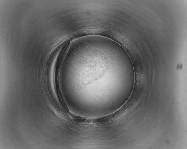 X0000091360254200708101425