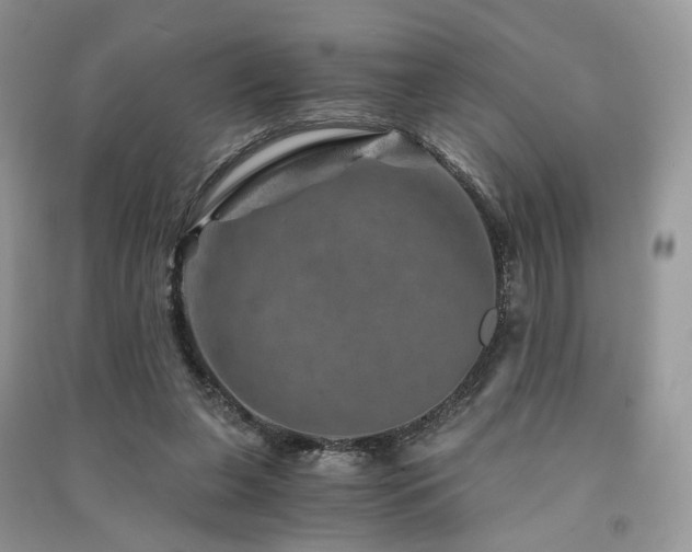 X0000091360255200708101425