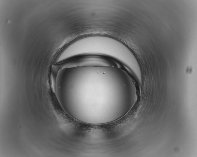 X0000091360256200708101425