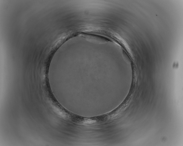 X0000091360257200708101425