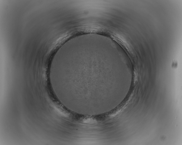 X0000091360258200708101425