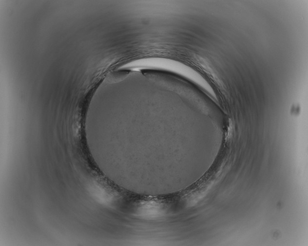 X0000091360259200708101425