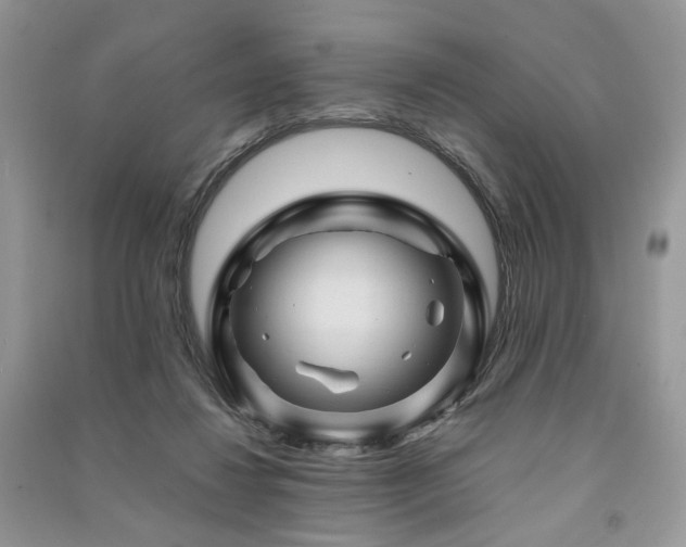 X0000091360260200708101425