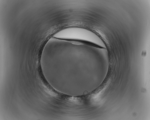 X0000091360261200708101425