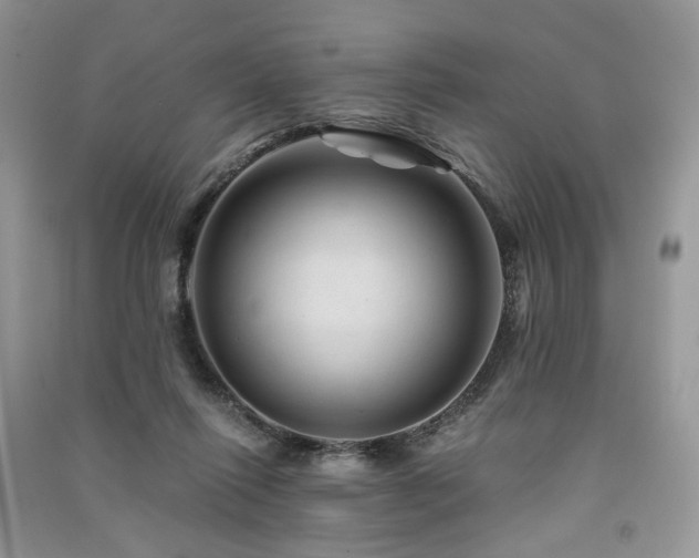 X0000091360262200708101425
