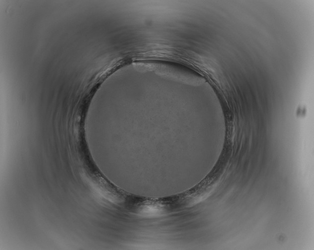 X0000091360263200708101425