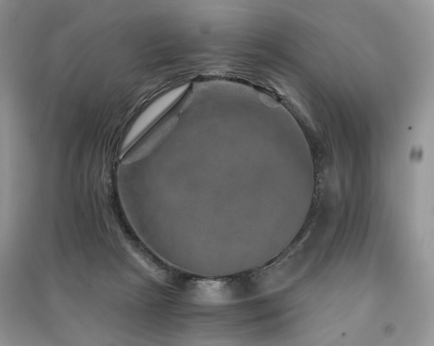 X0000091360265200708101425