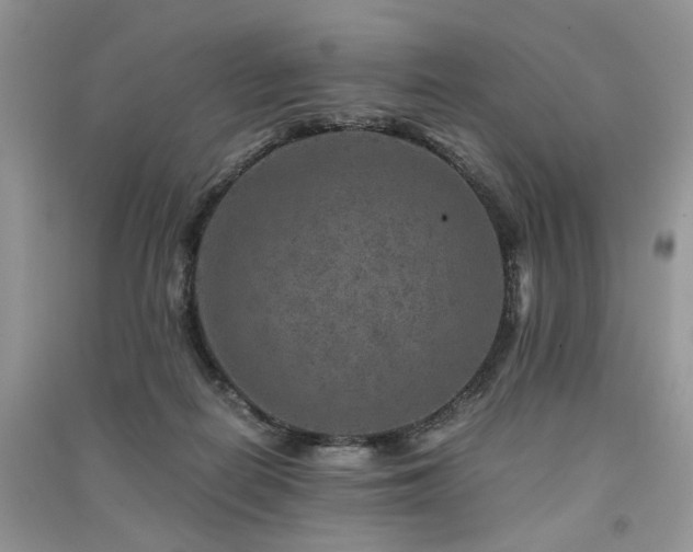 X0000091360266200708101425