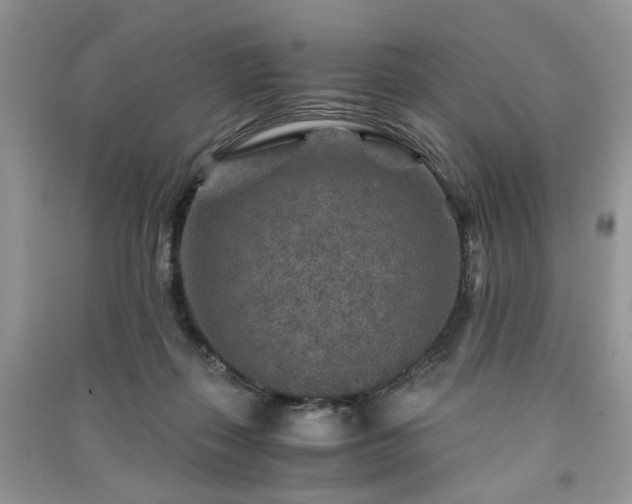 X0000091360267200708101425
