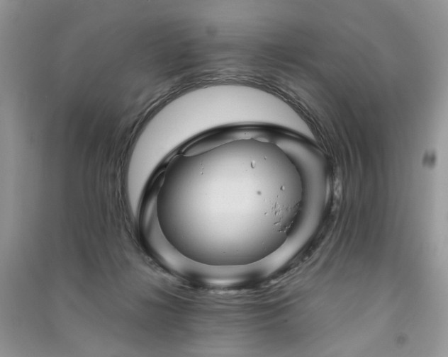 X0000091360268200708101425