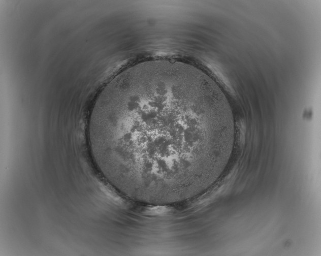 X0000091360269200708101425