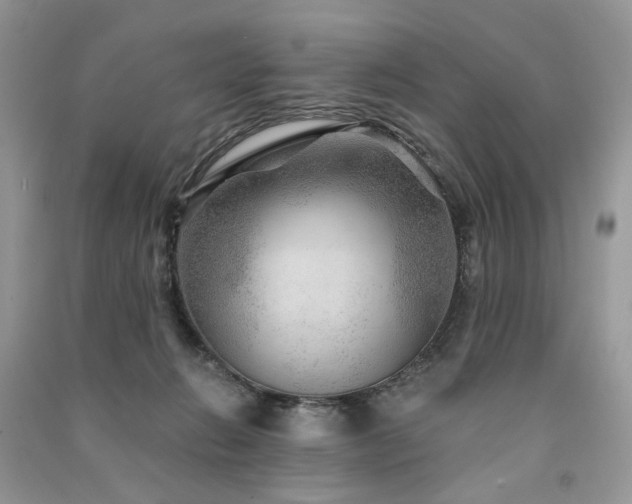 X0000091360270200708101425