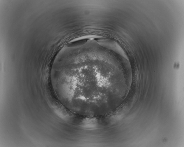 X0000091360271200708101425