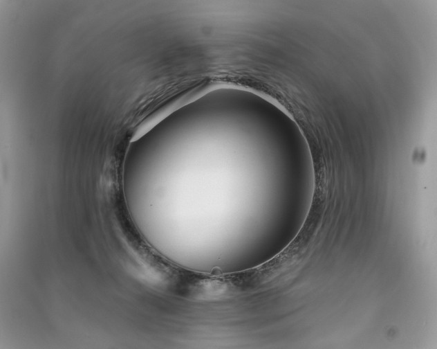 X0000091360272200708101425