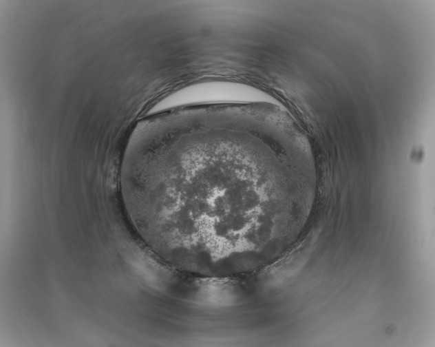 X0000091360273200708101425