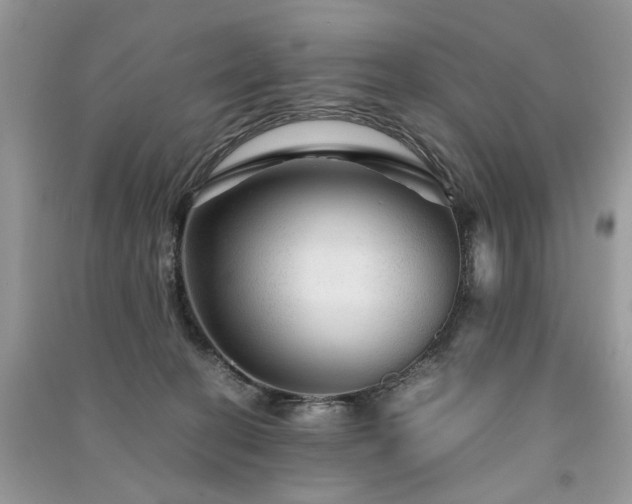 X0000091360274200708101425
