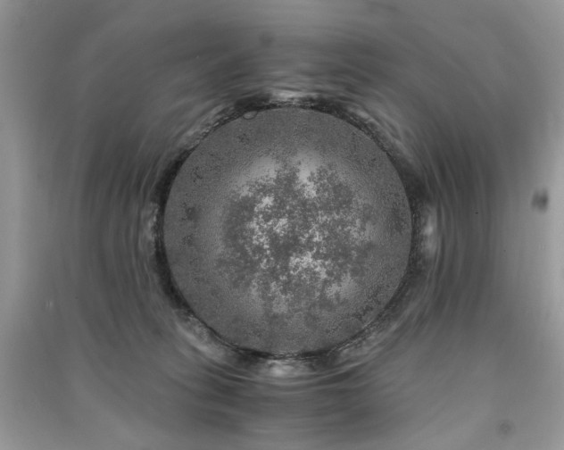 X0000091360275200708101425