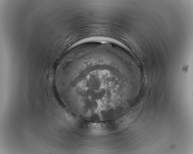 X0000091360277200708101425