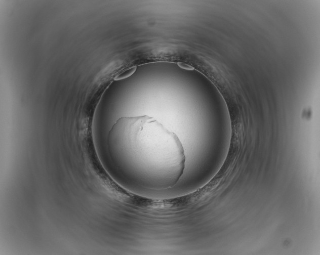X0000091360278200708101425