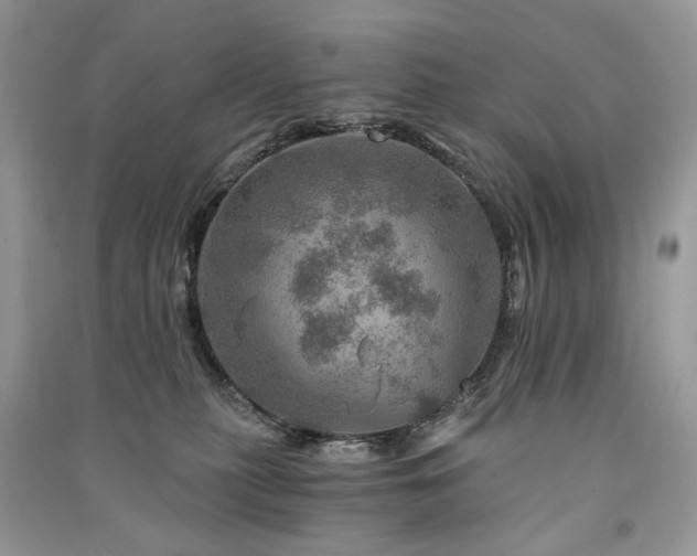 X0000091360279200708101425