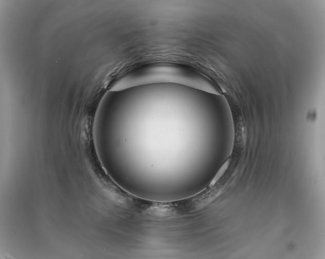 X0000091360280200708101425