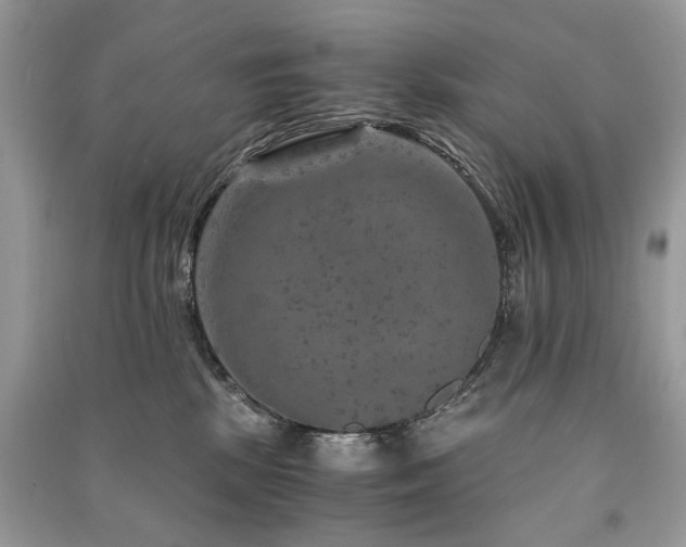 X0000091360281200708101425