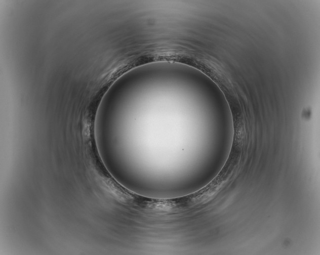 X0000091360282200708101425