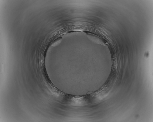 X0000091360283200708101425