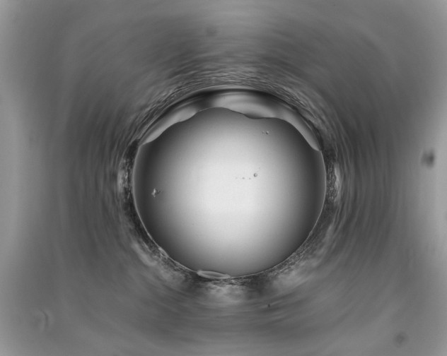 X0000091360284200708101425
