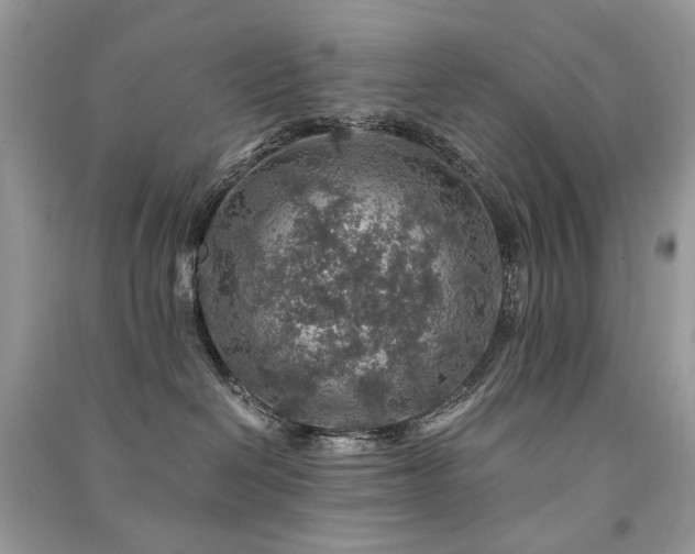 X0000091360286200708101425