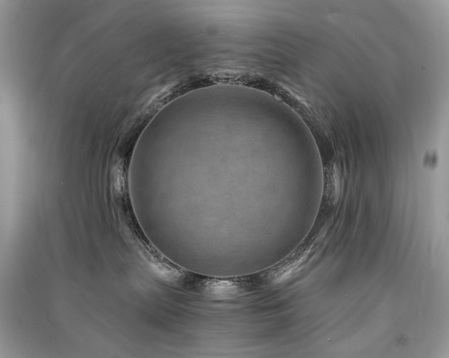 X0000091360287200708101426