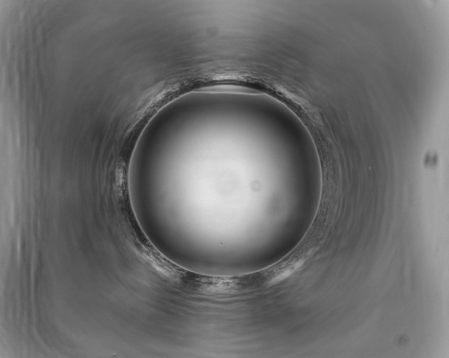 X0000091360288200708101426