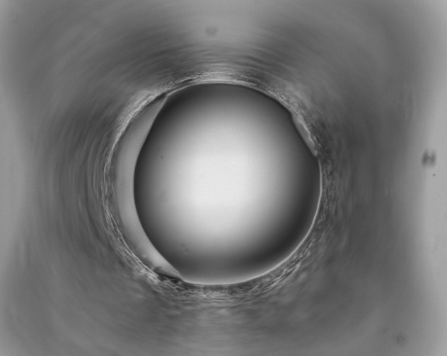 X0000091360289200708101425