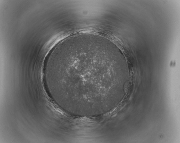 X0000091360290200708101425