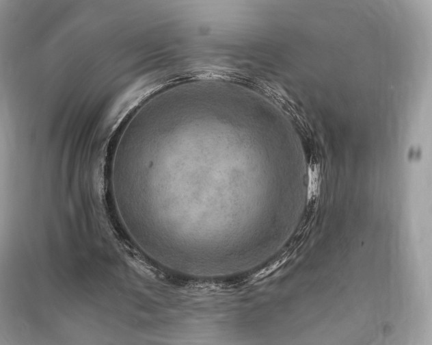 X0000091360291200708101425