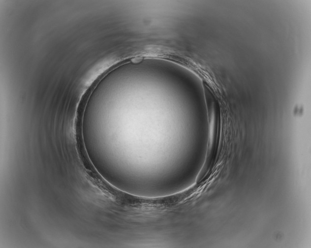 X0000091360292200708101425